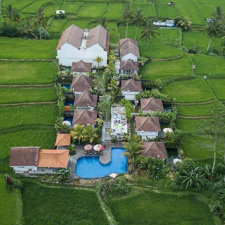 Tanta Escape Hotel Tegallalang  Bagian luar foto