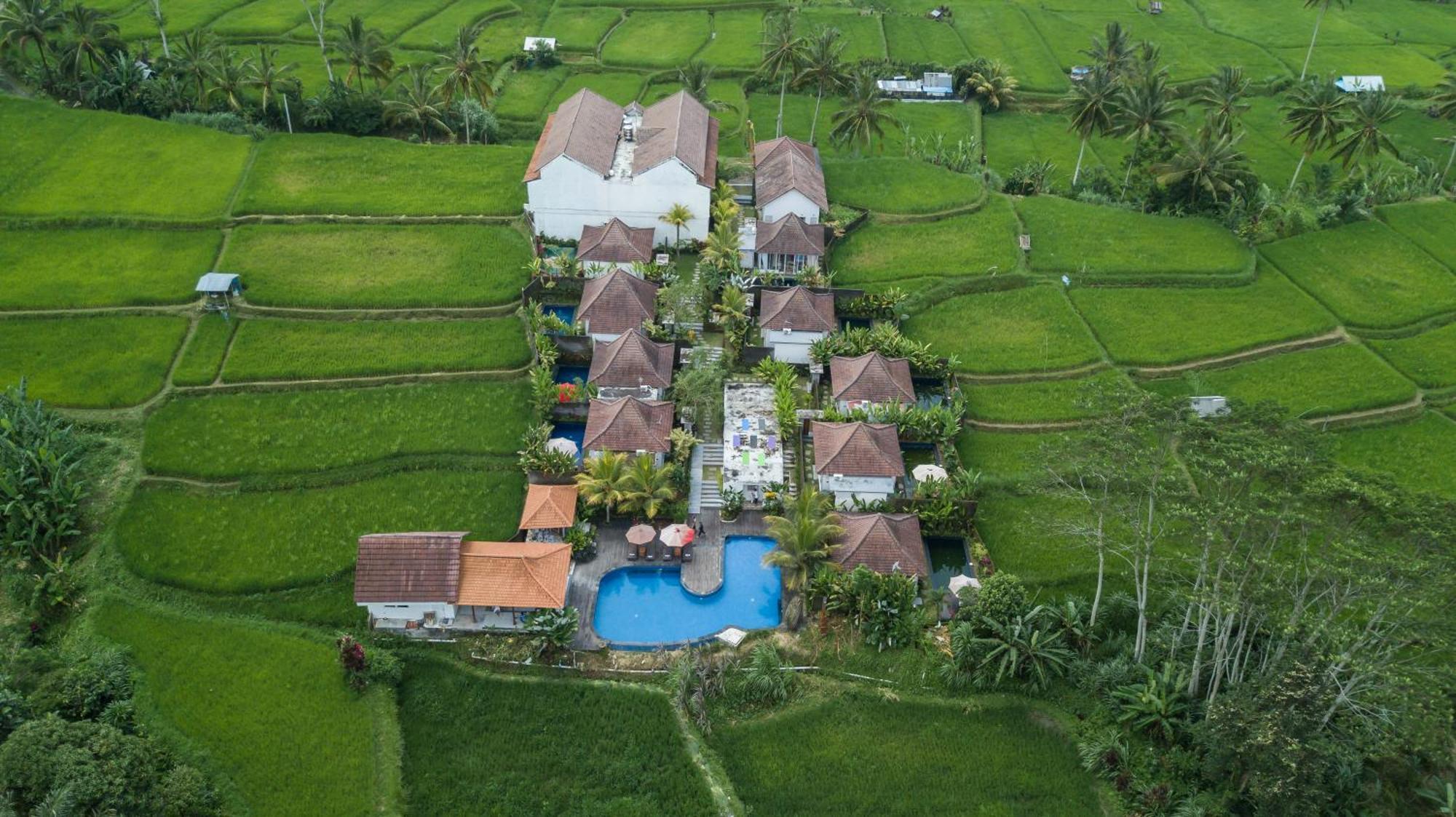 Tanta Escape Hotel Tegallalang  Bagian luar foto