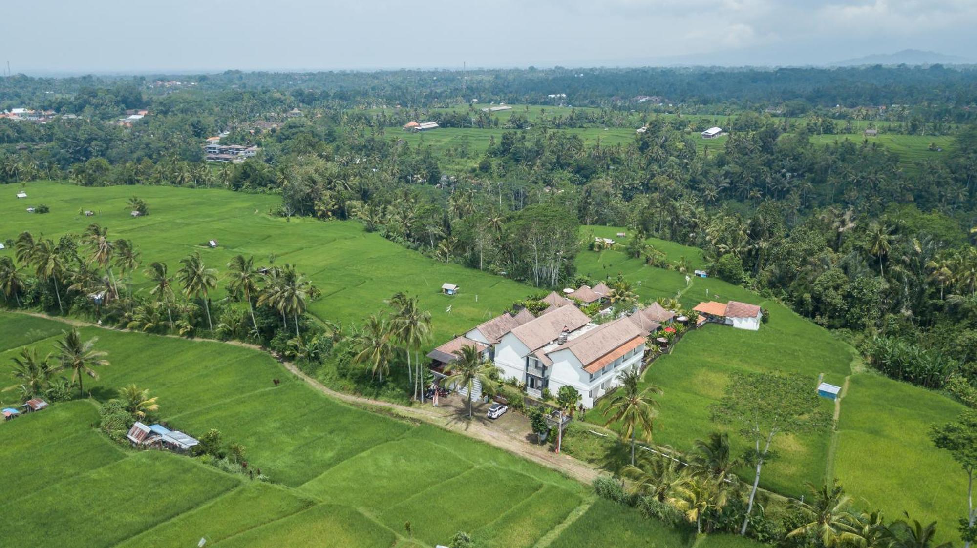 Tanta Escape Hotel Tegallalang  Bagian luar foto
