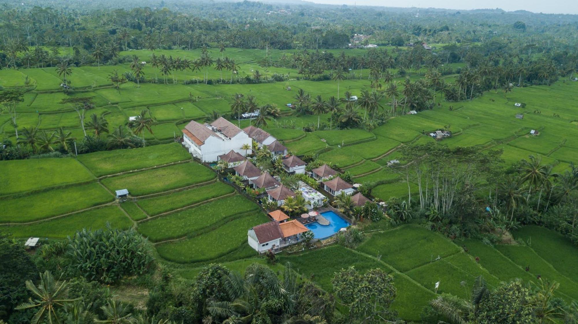 Tanta Escape Hotel Tegallalang  Bagian luar foto