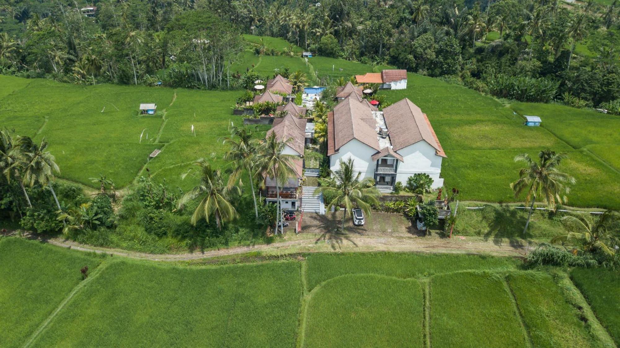 Tanta Escape Hotel Tegallalang  Bagian luar foto