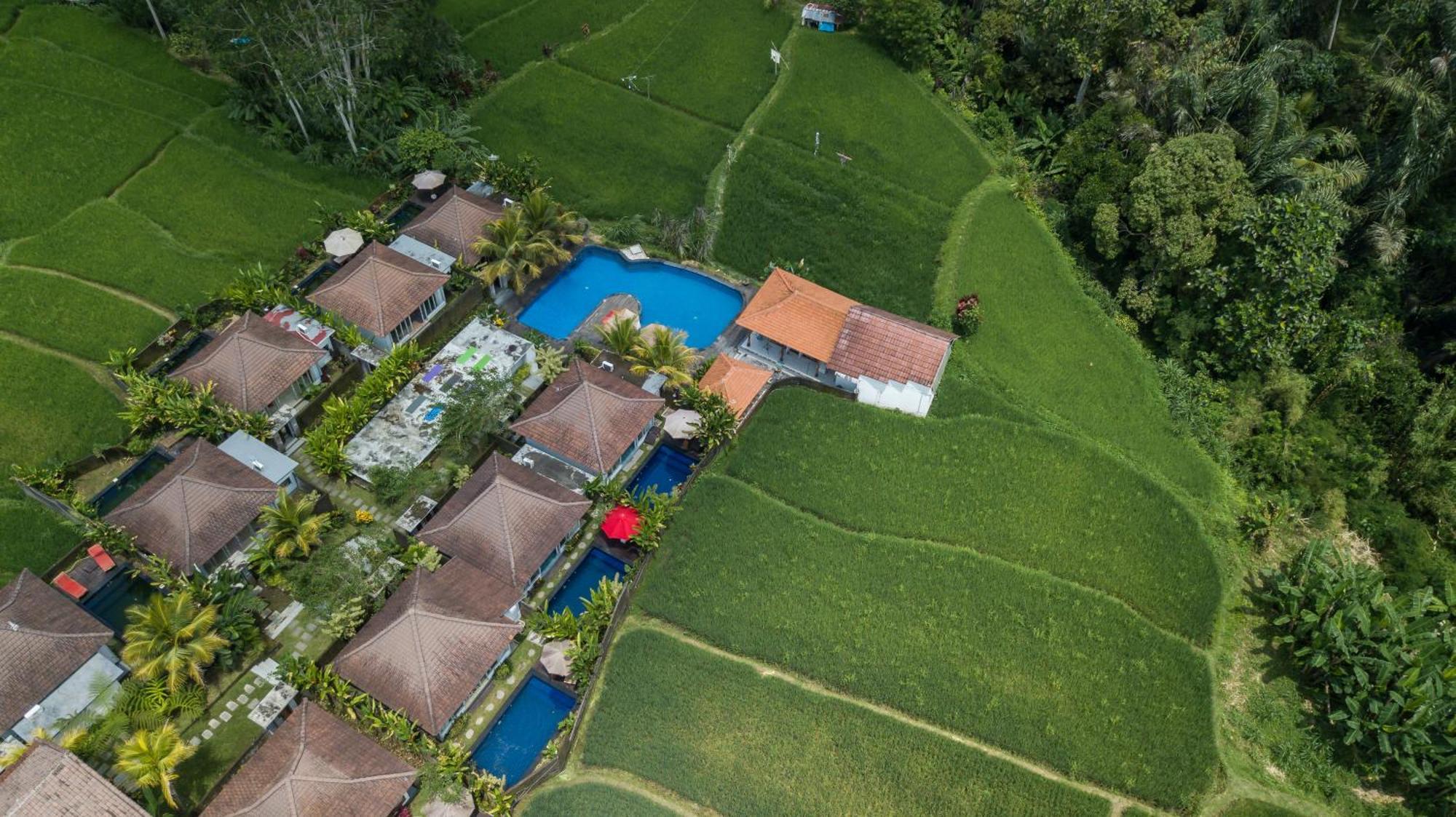 Tanta Escape Hotel Tegallalang  Bagian luar foto
